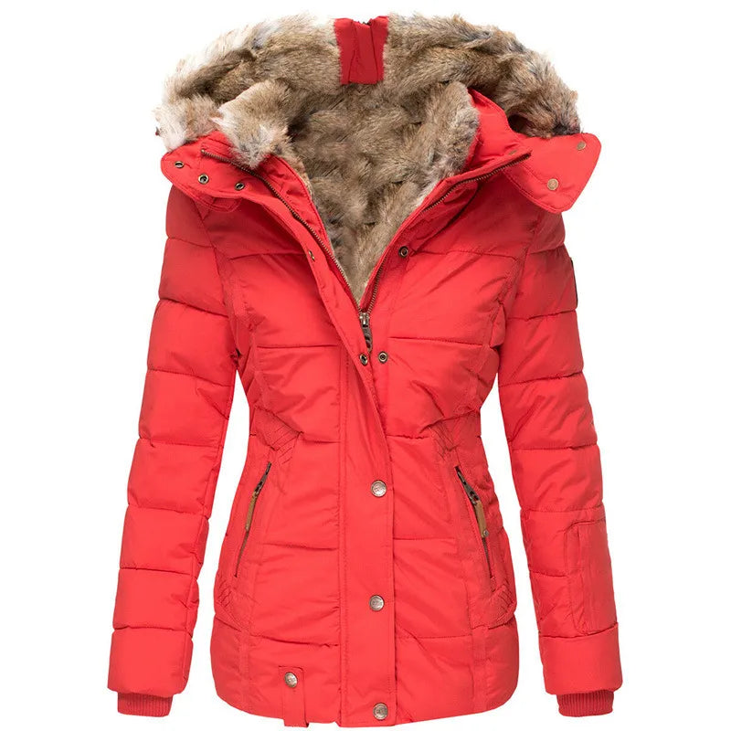 Damen Winterjacke im modernen Stil (8)