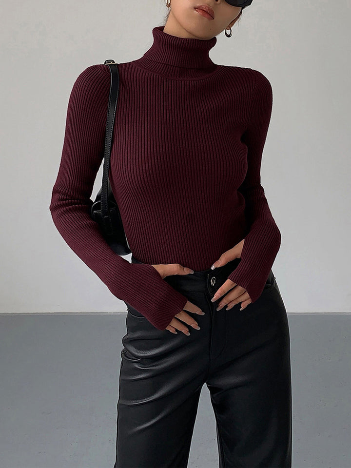 Eleganter Damen Pullover mit Rollkragen (3)