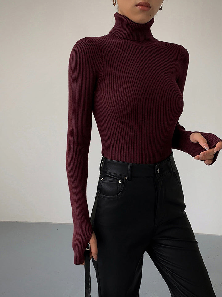 Eleganter Damen Pullover mit Rollkragen (5)