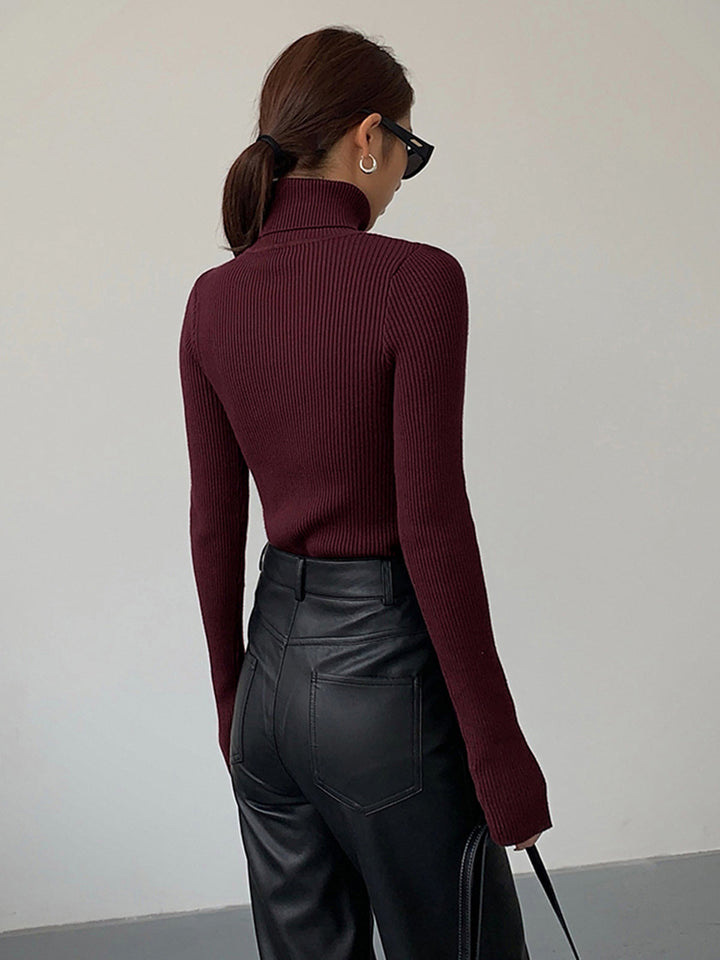Eleganter Damen Pullover mit Rollkragen (6)