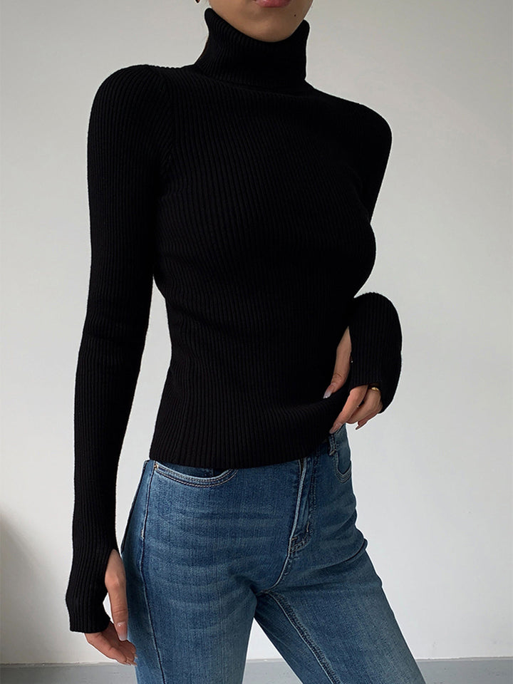 Eleganter Damen Pullover mit Rollkragen (8)